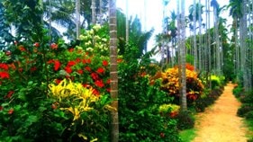 Chikmagalur resort garden path