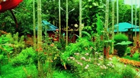 Chikmagalur resorts and homestays