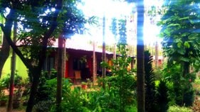 Chikmagalur resort cottage view