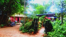 Chikmagalur resort driveway