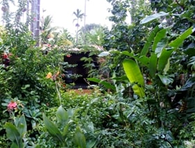 cottage surrounded by gardens