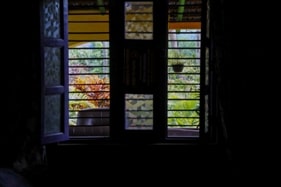 view from cottage window