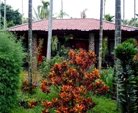 budget resort cottage chikmagalur