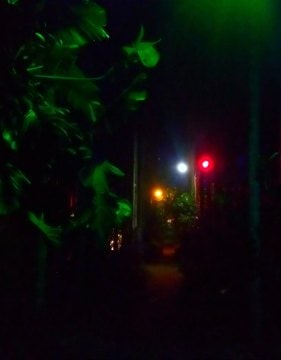 Chikmagalur homestay nightshot