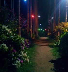 Chikmagalur resort night shot