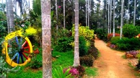 Chikmagalur resort & homestay