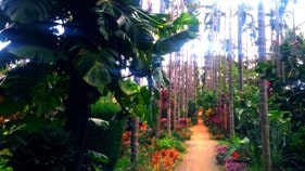 Chikmagalur resort walkway