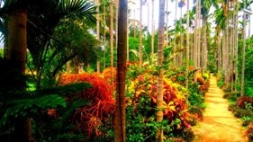 Chikmagalur resort for couples