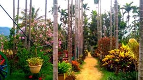 Chikmagalur resort view