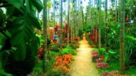 Resort Chikmagalur for families & couples