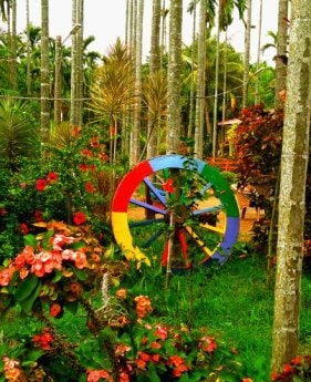 Chikmagalur homestay & resort