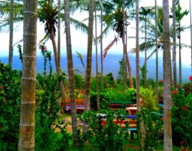 Chikmagalur resort and homestay