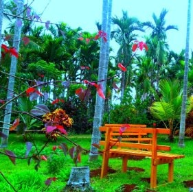 Resort & homestay in chikmagalur for families