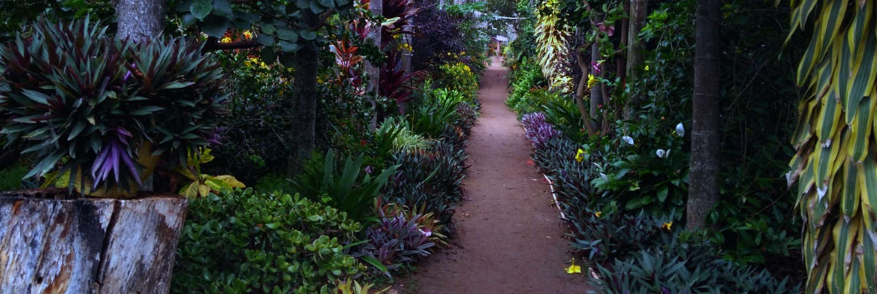 resort in chikmagalur