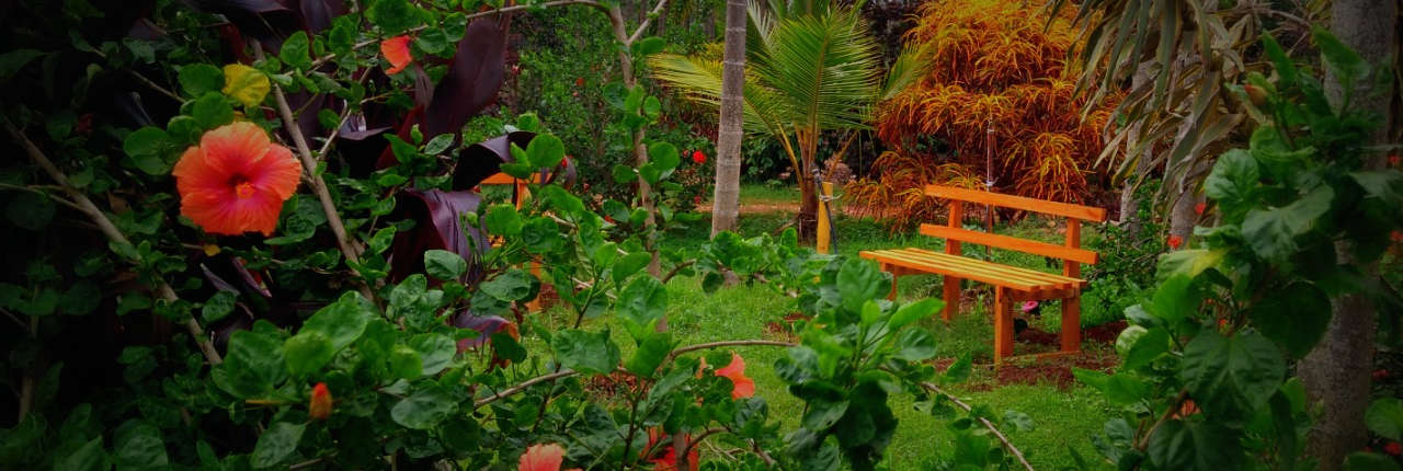 Chikmagalur resort tariff